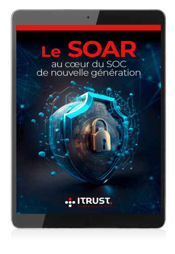 Consultation-livre-blanc